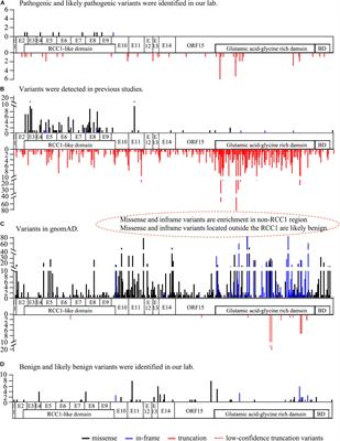 Genotype–Phenotype Analysis of RPGR Variations: Reporting of 62 Chinese Families and a Literature Review